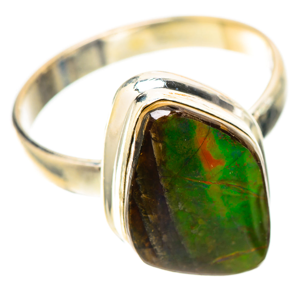 Canadian Ammolite Ring Size 10 (925 Sterling Silver) RING139822