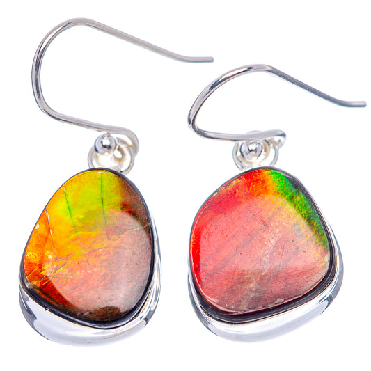 Rainbow ammolite teardrop earrings with .925 sterling silver frames and hook backs