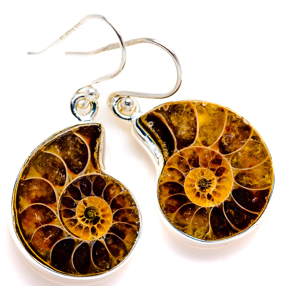 Ammonite Fossil Earrings 1 1/2" (925 Sterling Silver) EARR432101
