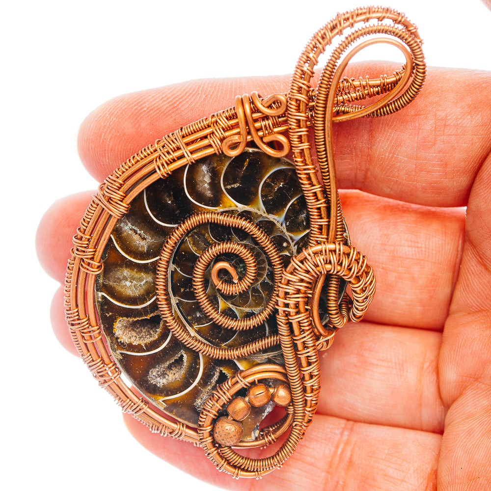 Ammonite Fossil Wire Wrap Pendant 2 3/4" (Copper)
