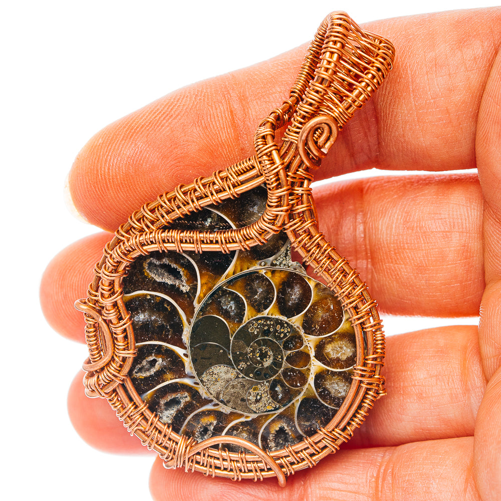 Ammonite Fossil Wire Wrap Pendant 2 1/2" (Copper)