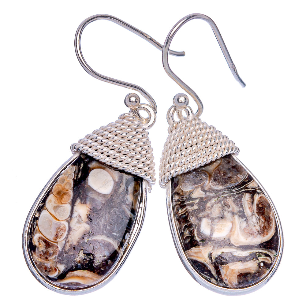 Turritella Agate Earrings 1 1/2" (925 Sterling Silver) E433206
