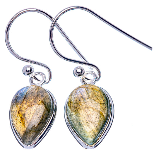 Labradorite Dainty Earrings 1 1/8" (925 Sterling Silver) E2034