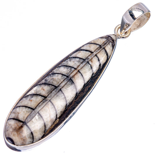 Orthoceras fossil pendant in .925 sterling silver, oval with black frame and gray banded core