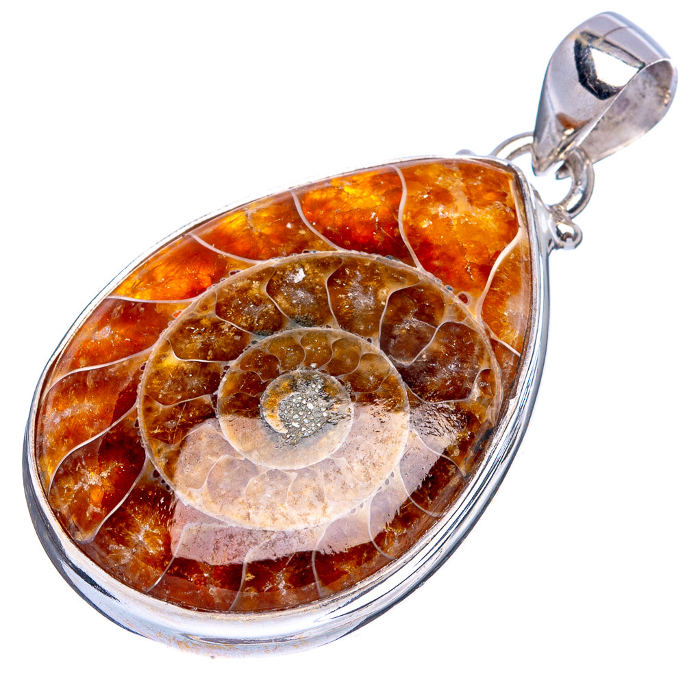 Rare Ammonite Fossil Pendant 1 5/8" (925 Sterling Silver) P43385