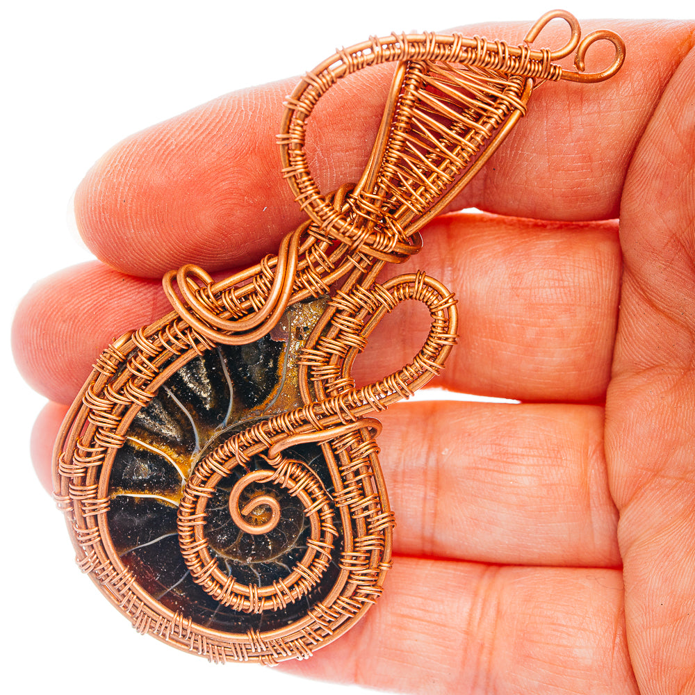 Ammonite Fossil Wire Wrap Pendant 3" (Copper)