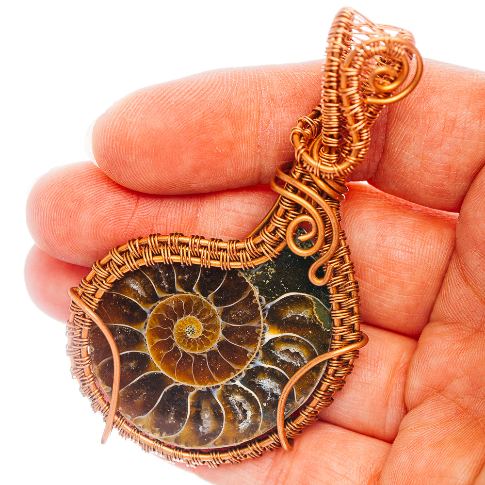 Ammonite Fossil Wire Wrap Pendant 2 7/8" (Copper)
