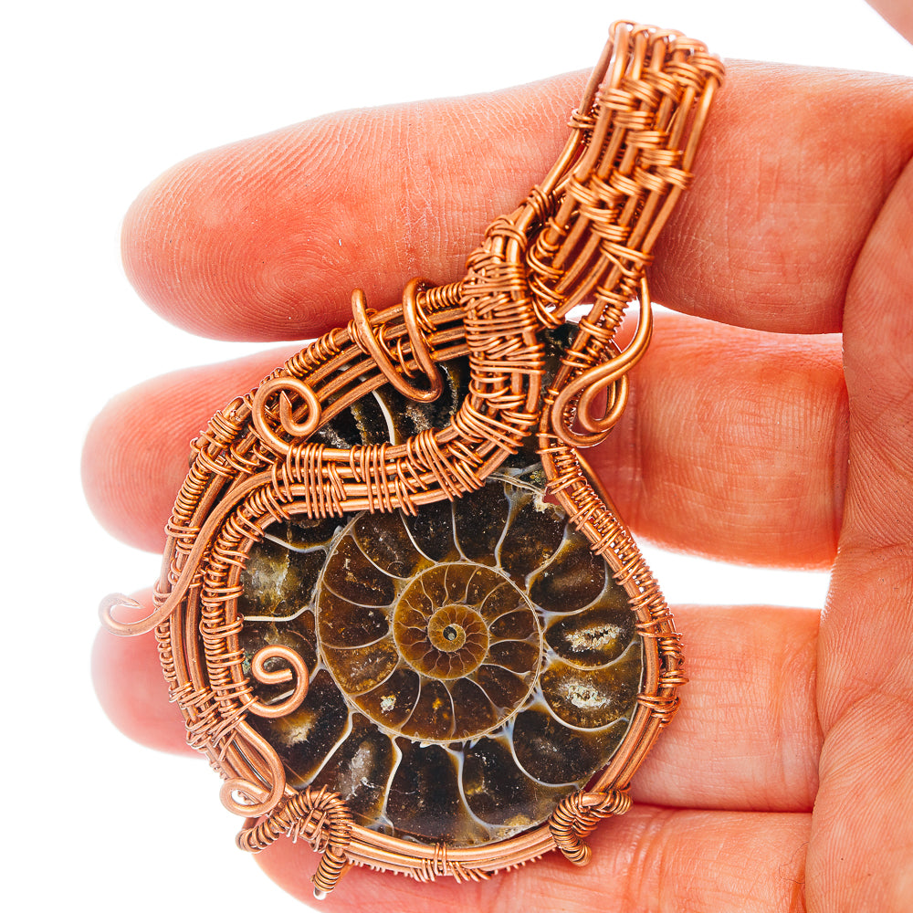 Ammonite Fossil Wire Wrap Pendant 2 7/8" (Copper)