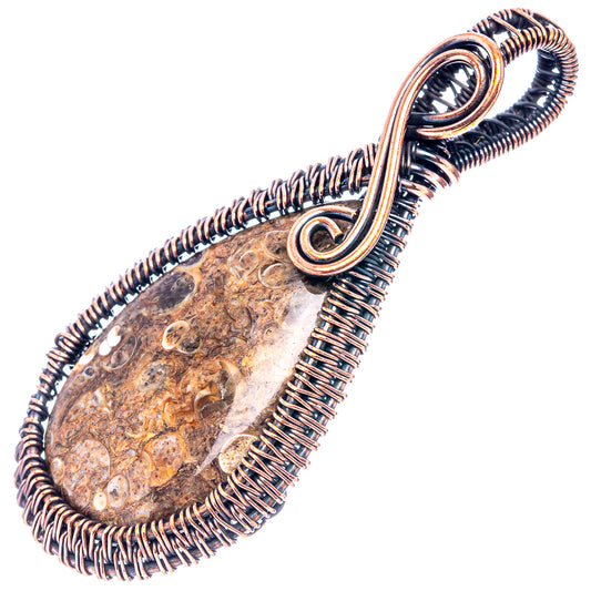 Oxidized copper wire-wrap teardrop pendant with turritella agate stone and round loops
