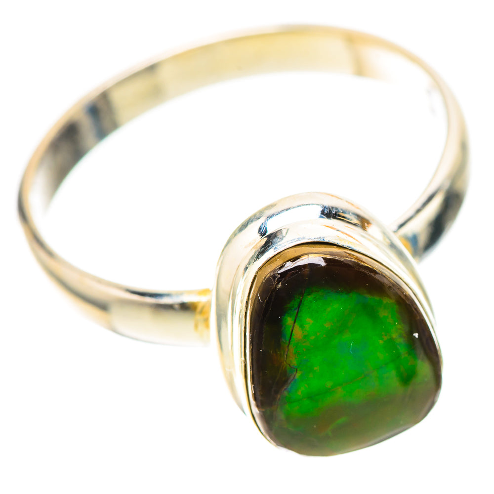 Canadian Ammolite Ring Size 10.75 (925 Sterling Silver) RING139805