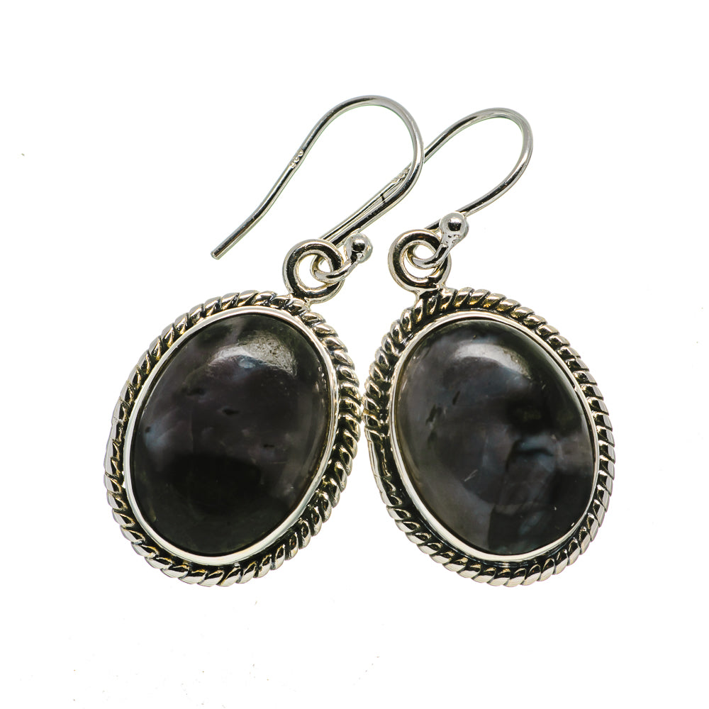 Oval gabbro stone drop earrings in 925 sterling silver with rope-edge frame and hooks