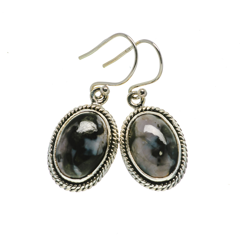 Oval gabbro stone drop earrings in 925 sterling silver with rope bezel and fishhook backs