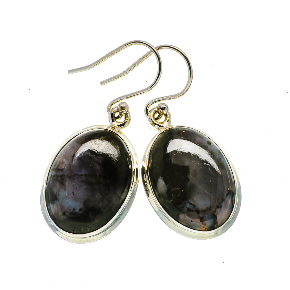 Gabbro Earrings handcrafted by Ana Silver Co - EARR399384