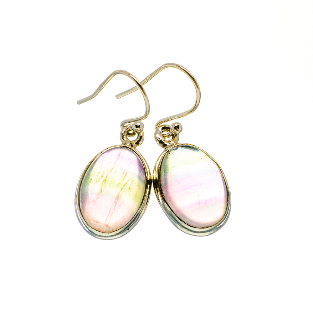 Fluorite Earrings handcrafted by Ana Silver Co - EARR405019