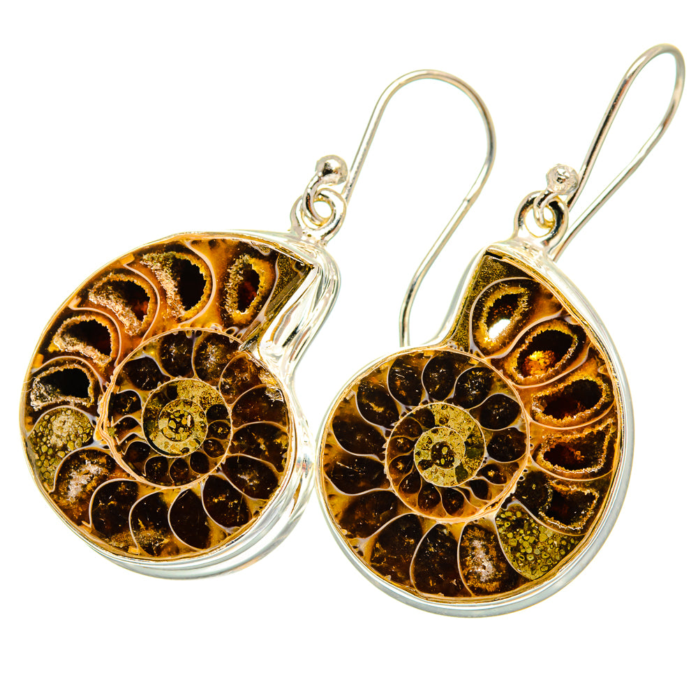 Ammonite Fossil Earrings handcrafted by Ana Silver Co - EARR419334
