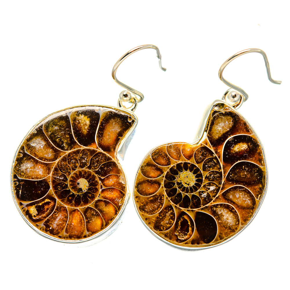 Ammonite Fossil Earrings handcrafted by Ana Silver Co - EARR419354
