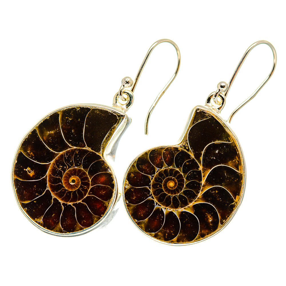 Ammonite Fossil Earrings handcrafted by Ana Silver Co - EARR419386