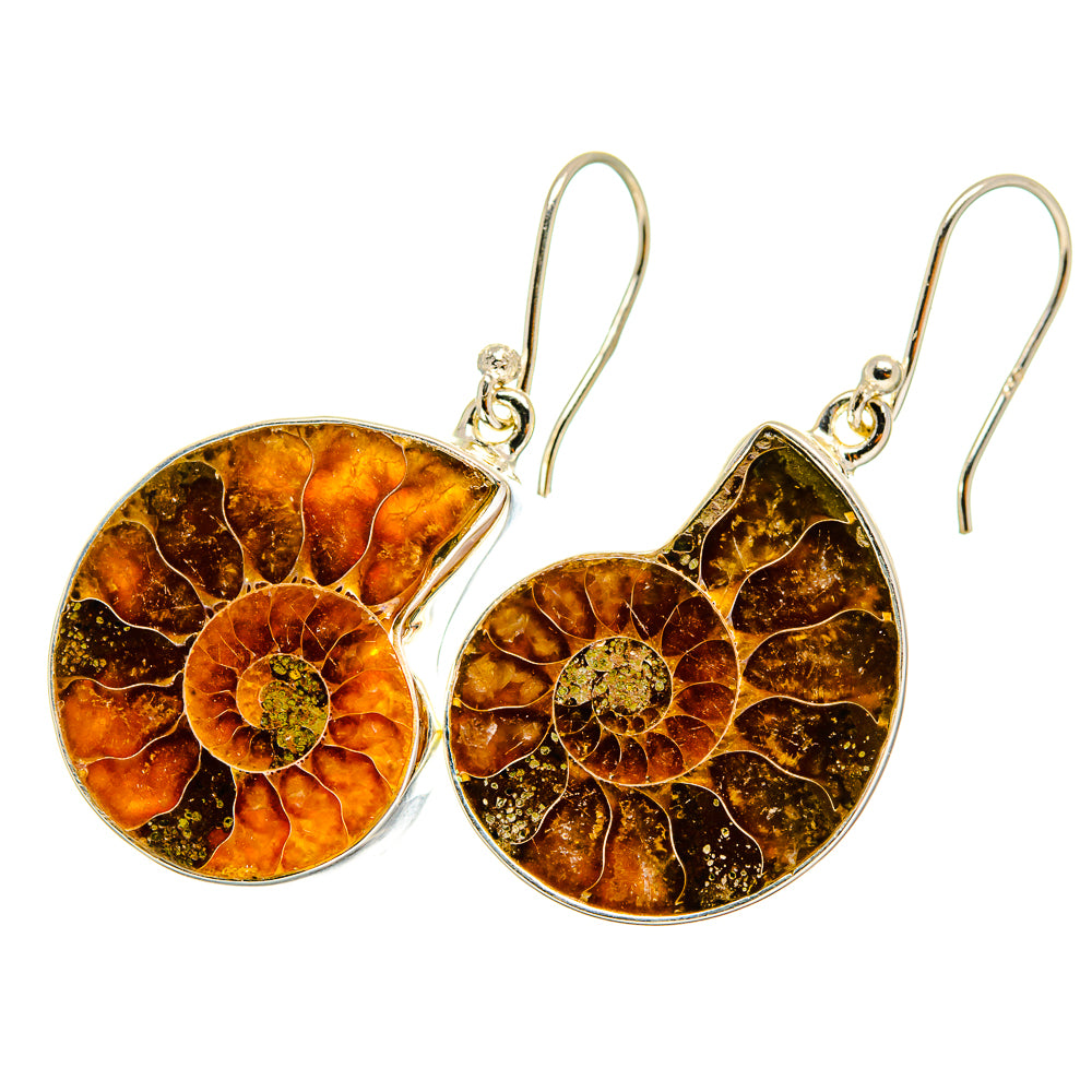 Ammonite Fossil Earrings handcrafted by Ana Silver Co - EARR419521