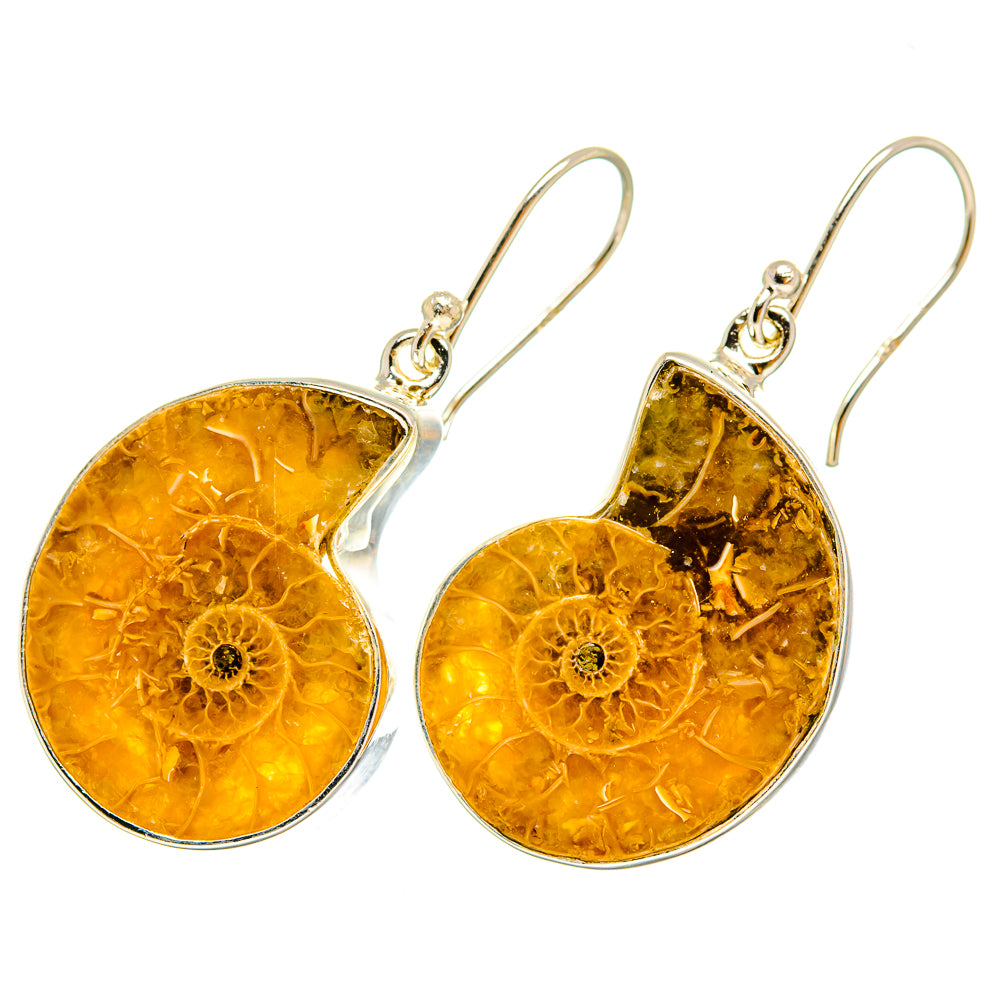 Ammonite Fossil Earrings handcrafted by Ana Silver Co - EARR419677