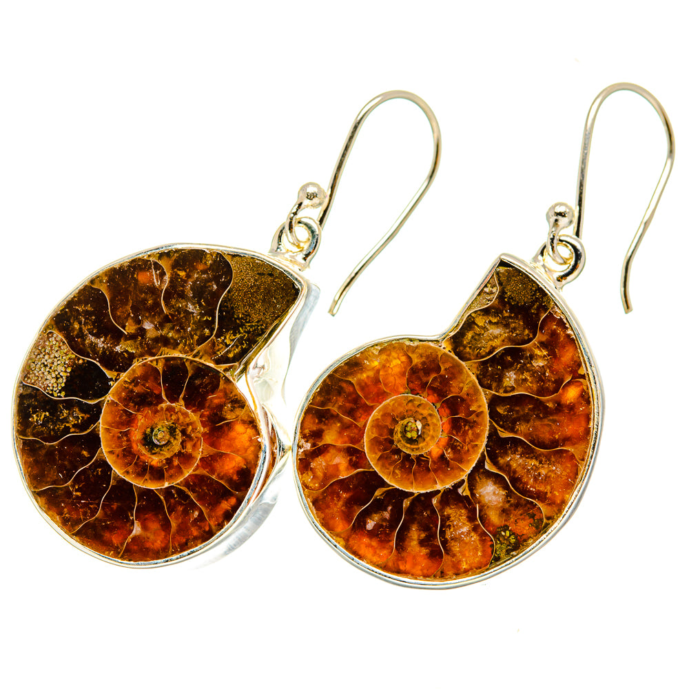 Ammonite Fossil Earrings handcrafted by Ana Silver Co - EARR419738