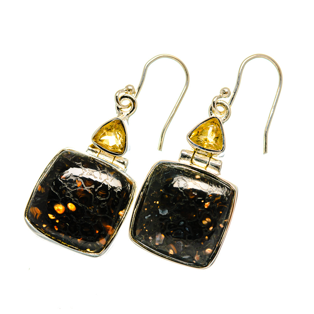 Dinosaur Bone Earrings handcrafted by Ana Silver Co - EARR420484
