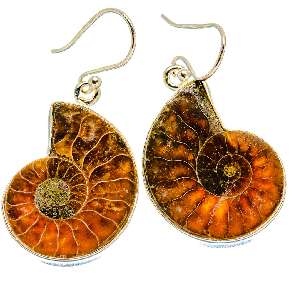 Ammonite Fossil Earrings handcrafted by Ana Silver Co - EARR423902