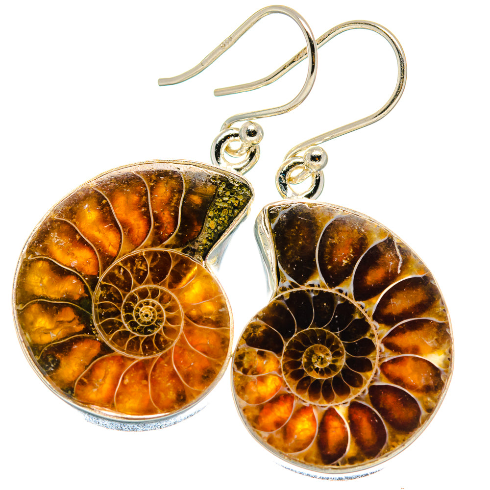 Ammonite Fossil Earrings handcrafted by Ana Silver Co - EARR424239