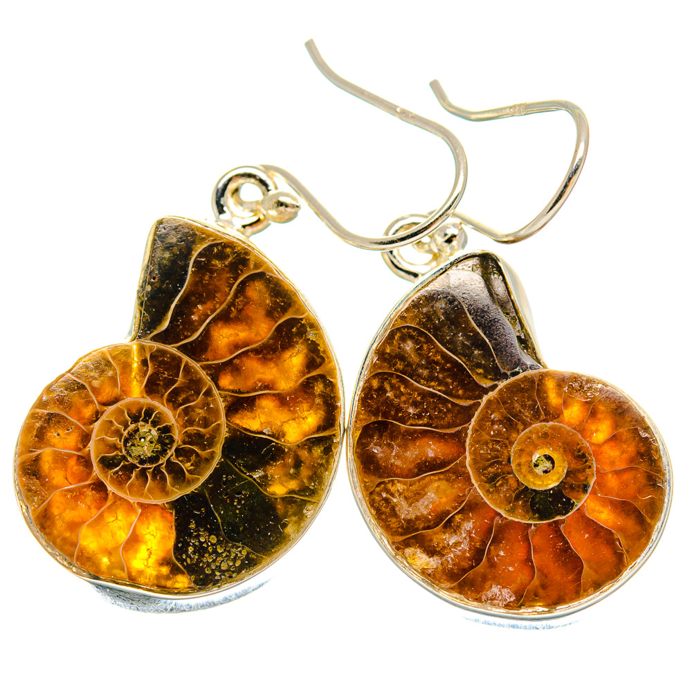 Ammonite Fossil Earrings handcrafted by Ana Silver Co - EARR424381 - Photo 2