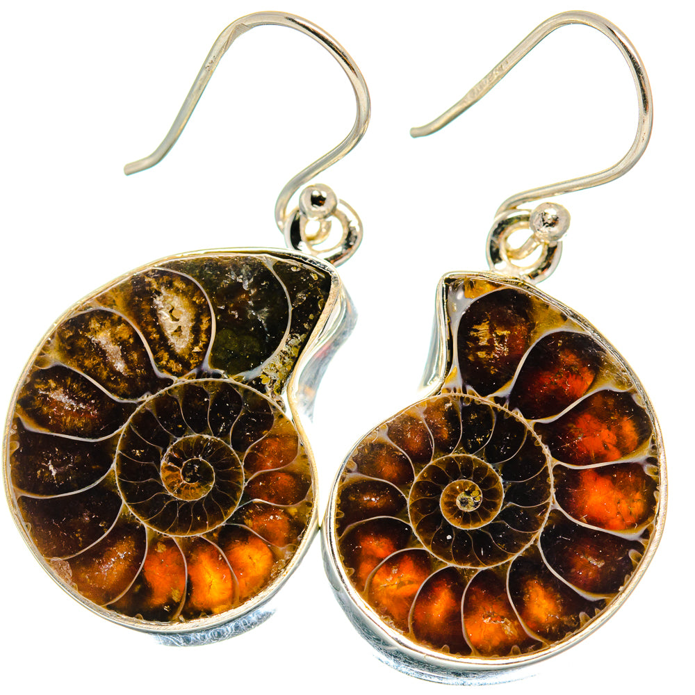 Ammonite Fossil Earrings handcrafted by Ana Silver Co - EARR424498