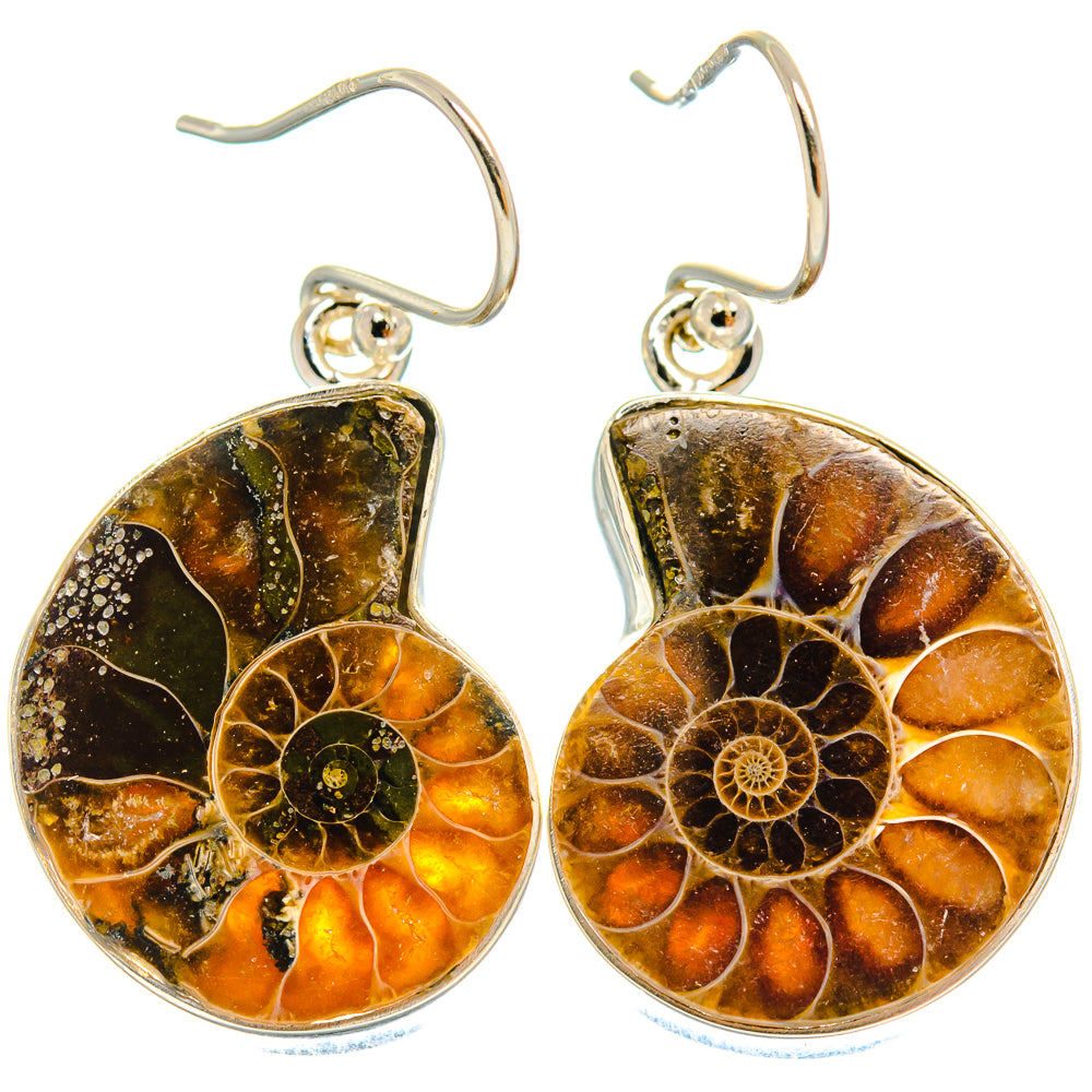Ammonite Fossil Earrings handcrafted by Ana Silver Co - EARR424551 - Photo 2