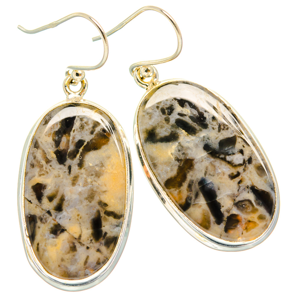 Tiger Dendritic Agate Earrings handcrafted by Ana Silver Co - EARR427941 - Photo 2