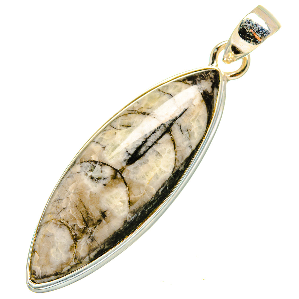 Orthoceras Fossil Pendants handcrafted by Ana Silver Co - PD10301