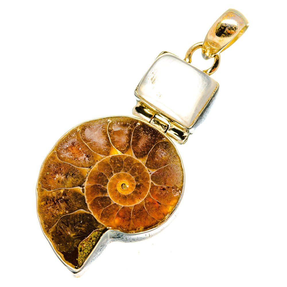 Ammonite Fossil Pendants handcrafted by Ana Silver Co - PD10347