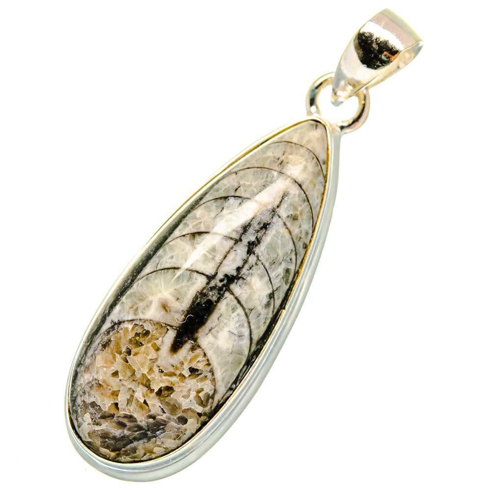Orthoceras Fossil Pendants handcrafted by Ana Silver Co - PD10436
