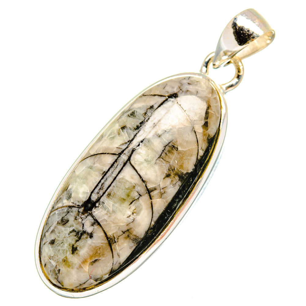 Orthoceras Fossil Pendants handcrafted by Ana Silver Co - PD10715