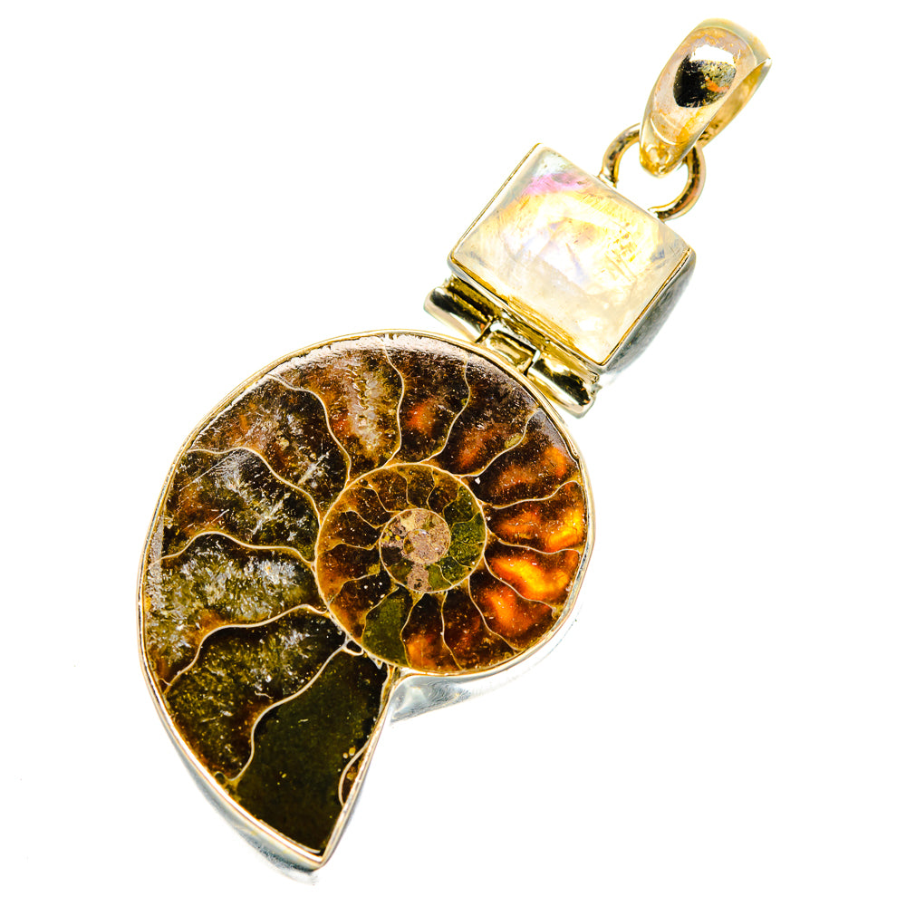 Ammonite Fossil Pendants handcrafted by Ana Silver Co - PD10780