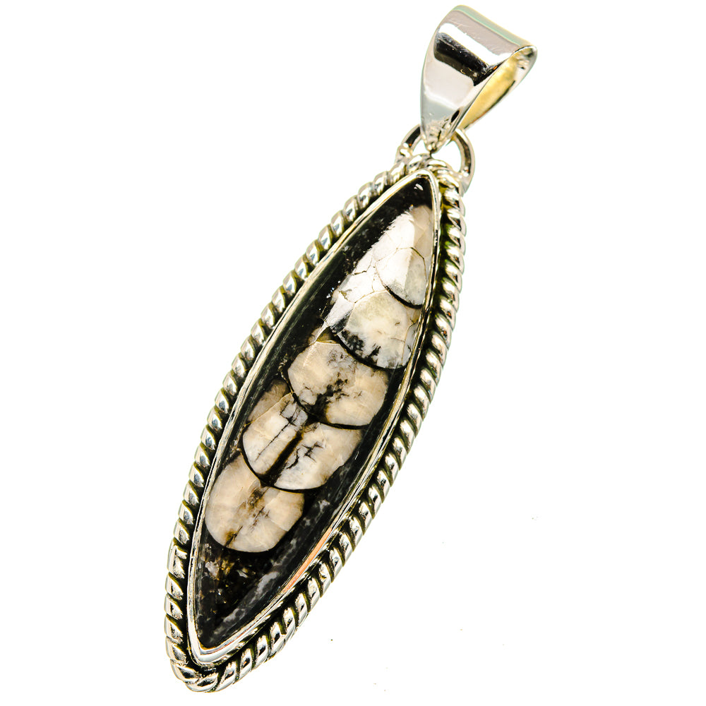 Orthoceras Fossil Pendants handcrafted by Ana Silver Co - PD13380