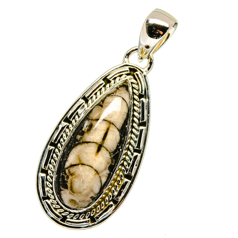 Orthoceras Fossil Pendants handcrafted by Ana Silver Co - PD13412