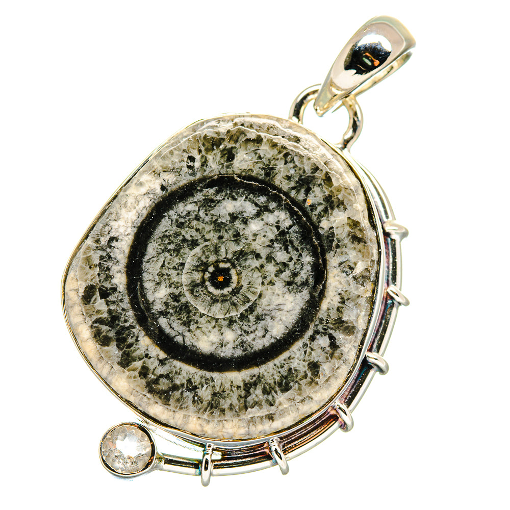 Moroccan Goniatite Fossil Pendants handcrafted by Ana Silver Co - PD17781