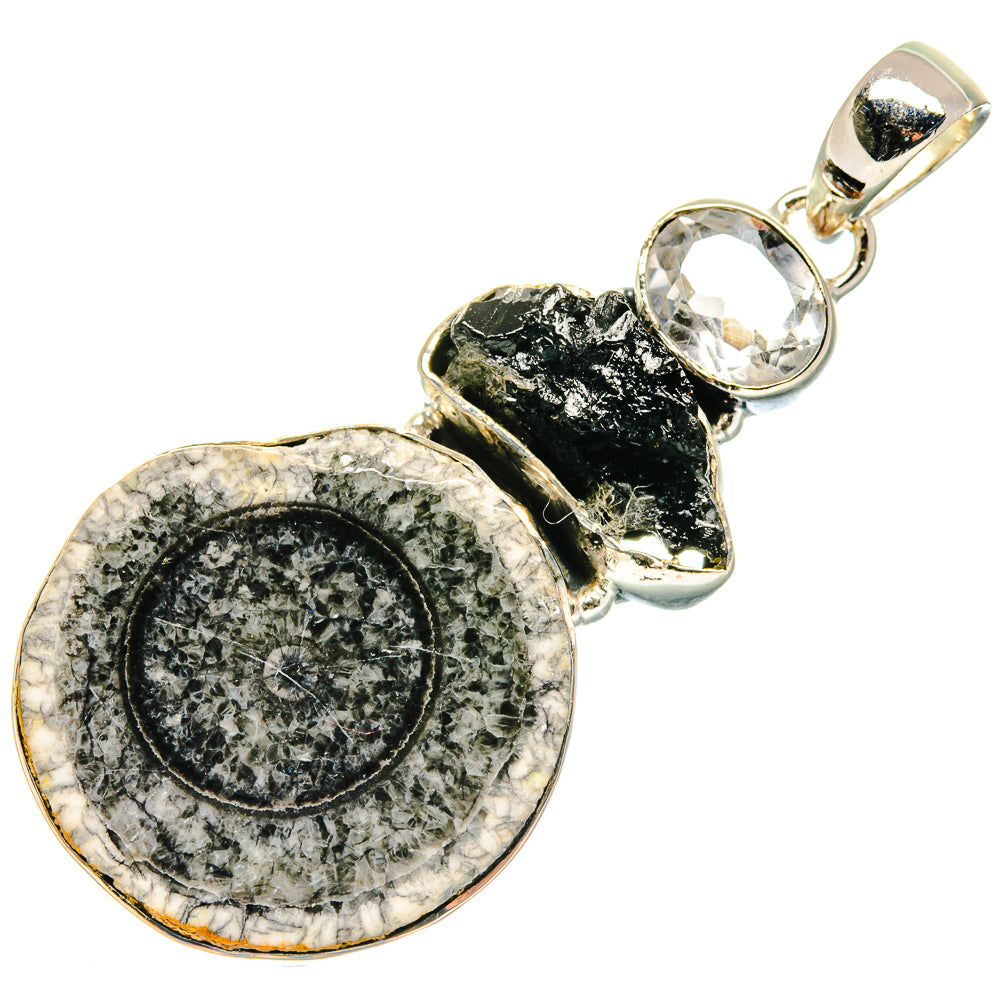 Goniatite Fossil Pendants handcrafted by Ana Silver Co - PD18130