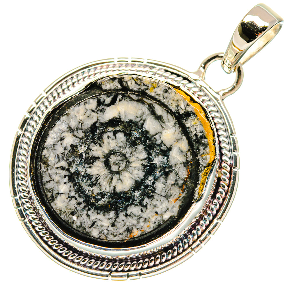 Goniatite Fossil Pendants handcrafted by Ana Silver Co - PD18332