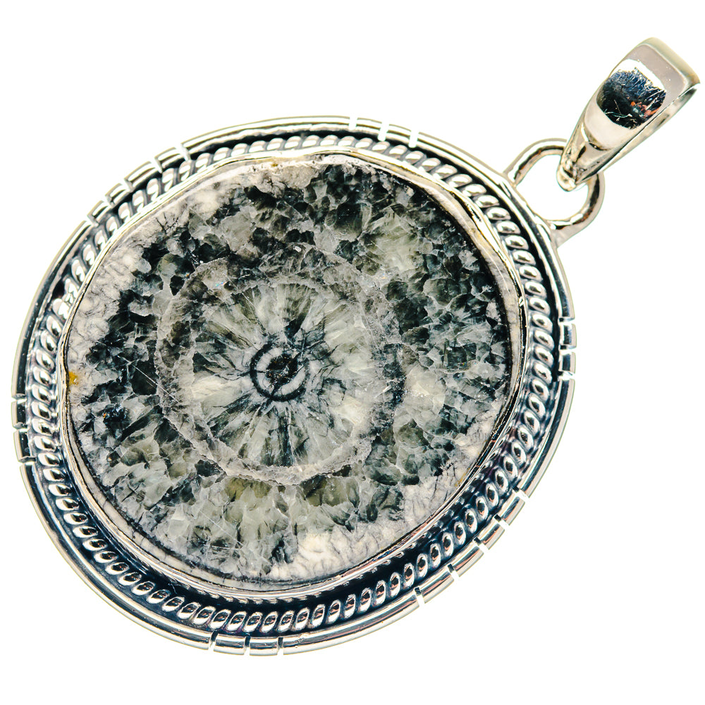 Goniatite Fossil Pendants handcrafted by Ana Silver Co - PD18670
