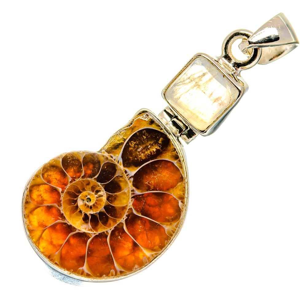 Ammonite Fossil Pendants handcrafted by Ana Silver Co - PD22186 - Photo 2