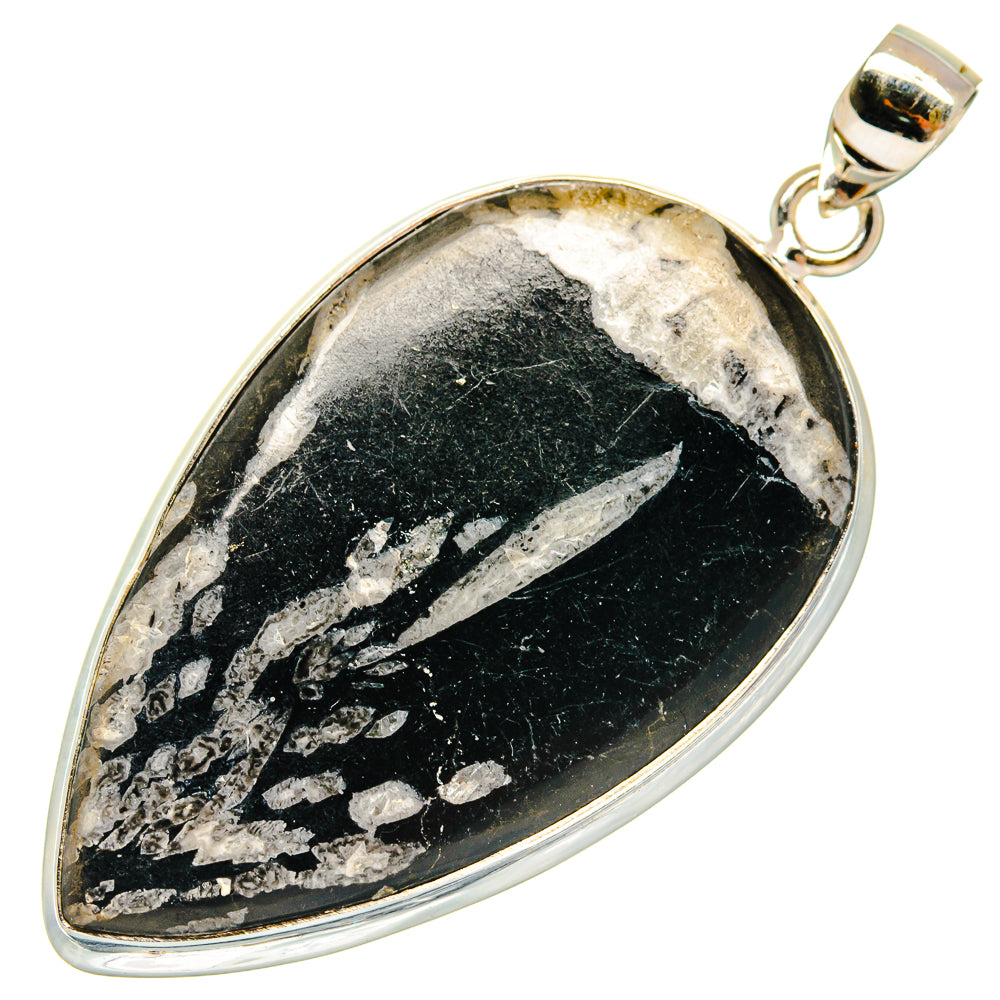 Teardrop chrysanthemum stone pendant in 925 sterling silver with loop bail, black-gray