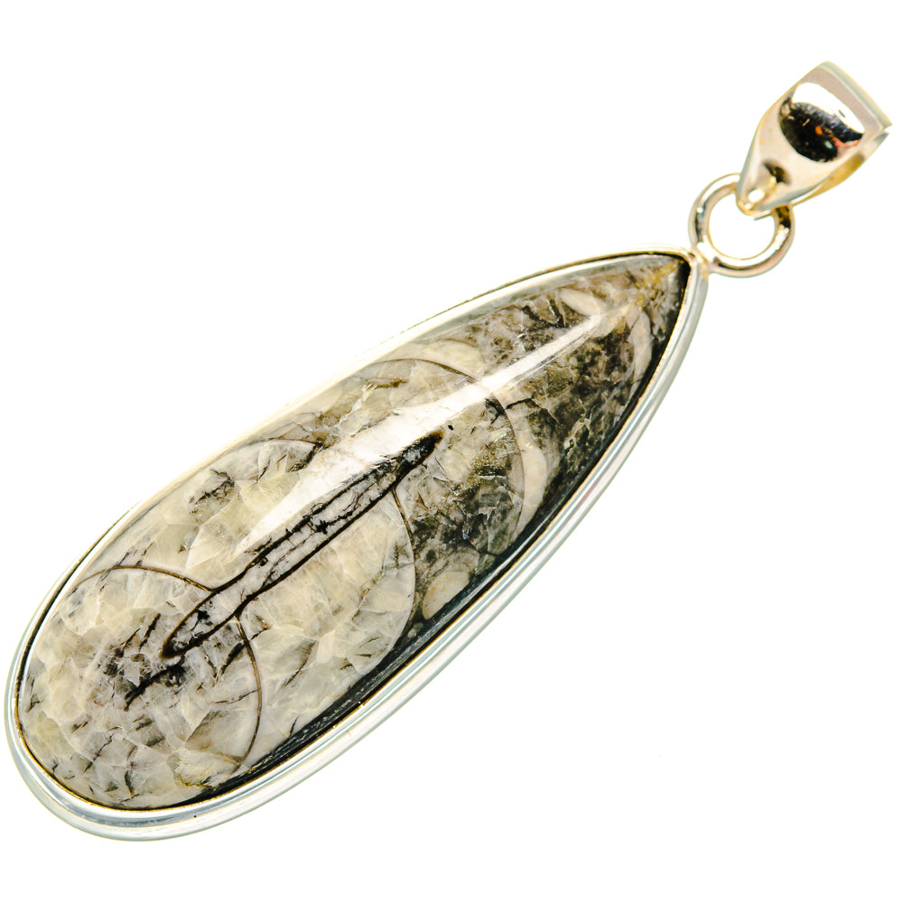 Orthoceras Fossil Pendants handcrafted by Ana Silver Co - PD27384 - Photo 2