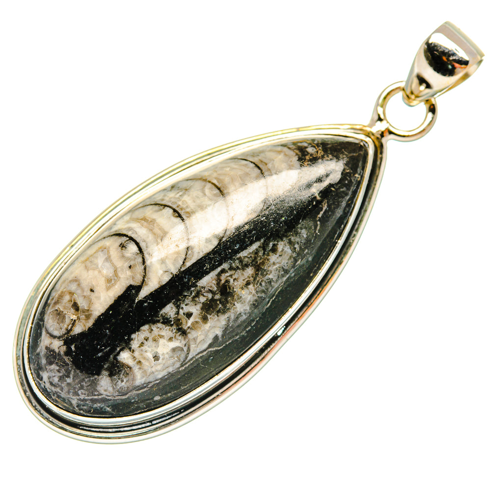 Orthoceras Fossil Pendants handcrafted by Ana Silver Co - PD27529 - Photo 2