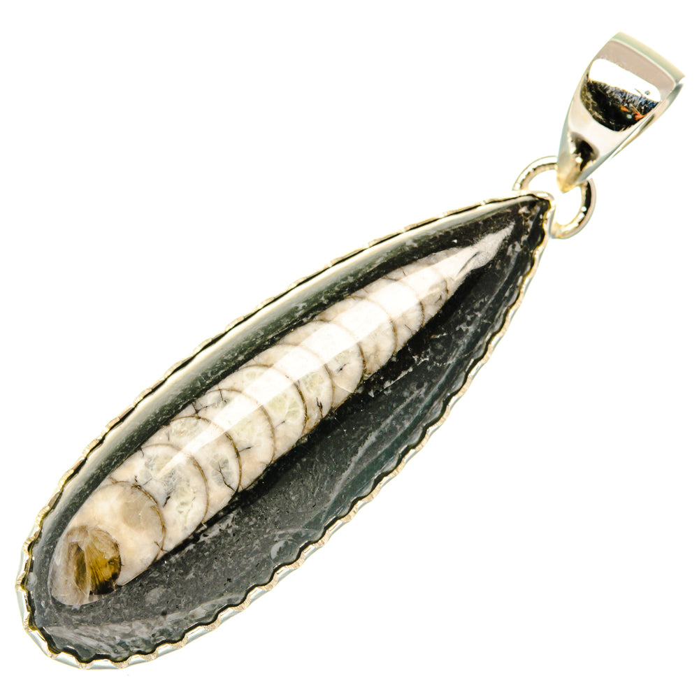 Orthoceras Fossil Pendants handcrafted by Ana Silver Co - PD30185 - Photo 2