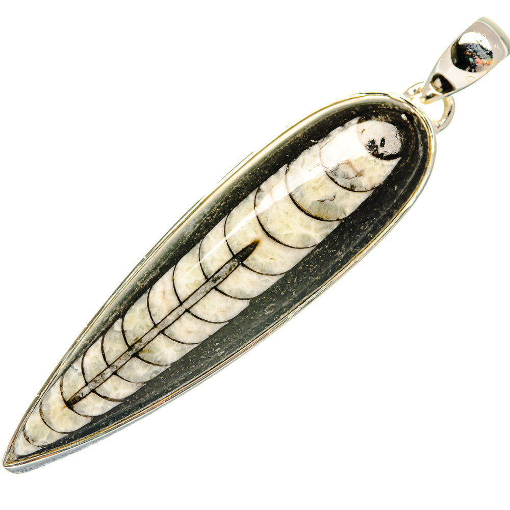 Orthoceras Fossil Pendants handcrafted by Ana Silver Co - PD30765 - Photo 2