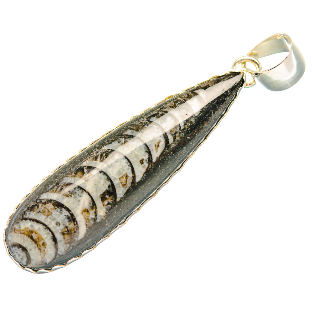 Orthoceras Fossil Pendants handcrafted by Ana Silver Co - PD32394 - Photo 2