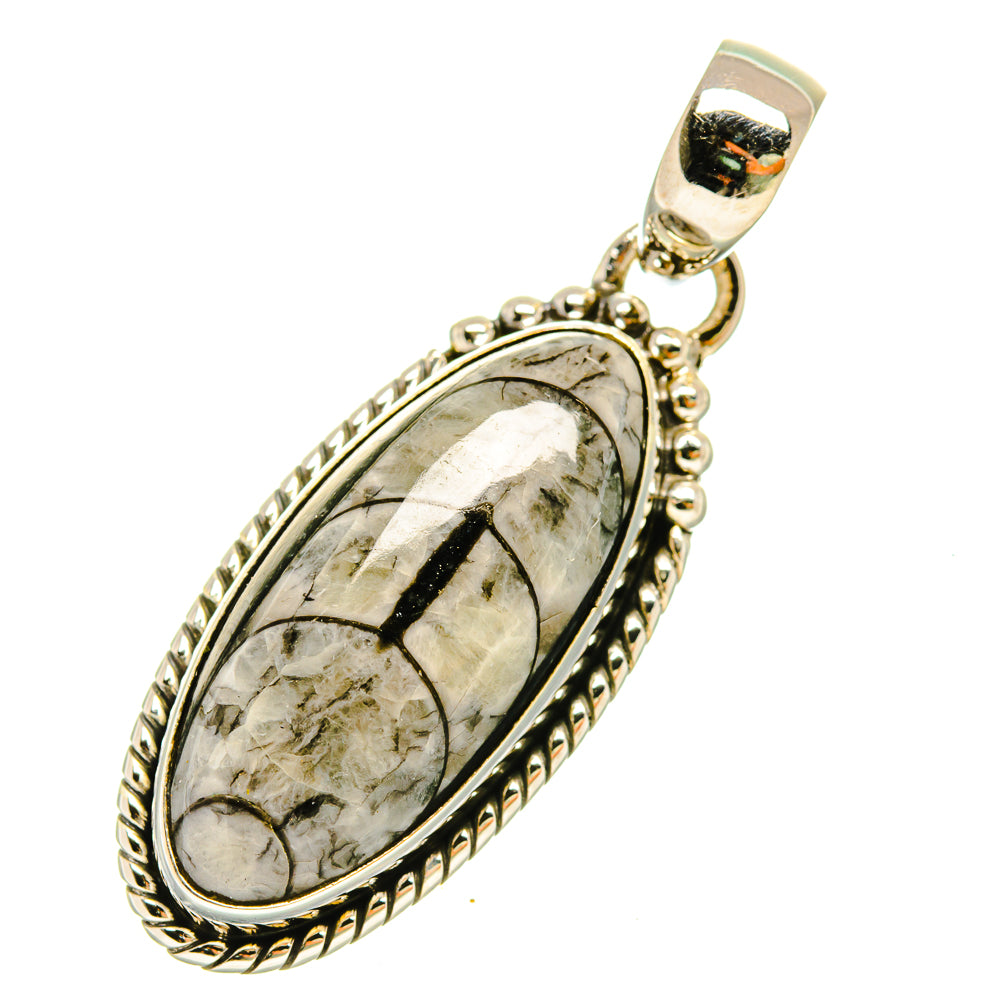 Orthoceras Fossil Pendants handcrafted by Ana Silver Co - PD5431